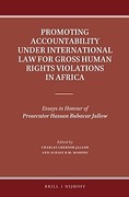 Cover of Promoting Accountability for Gross Human Rights Violations in Africa under International Law: Essays in Honour of Prosecutor Hassan Bubacar Jallow