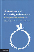 Cover of The Business and Human Rights Landscape: Moving Forward, Looking Back