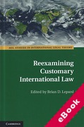 Cover of Reexamining Customary International Law (eBook)