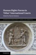 Cover of Human Rights Norms in `Other' International Courts
