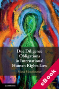 Cover of Due Diligence Obligations in International Human Rights Law (eBook)