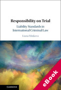 Cover of Responsibility on Trial: Liability Standards in International Criminal Law (eBook)