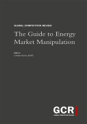 Cover of The Guide to Energy Market Manipulation