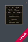 Cover of Civil Remedies and Human Rights in Flux: Key Legal Developments in Selected Jurisdictions (eBook)