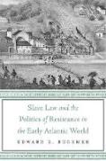 Cover of Slave Law and the Politics of Resistance in the Early Atlantic World