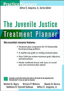 Cover of The Juvenile Justice and Residential Care Treatment Planner