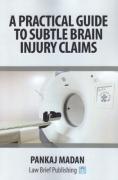 Cover of A Practical Guide to Subtle Brain Injury Claims
