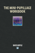 Cover of The Mini-Pupillage Workbook