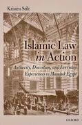 Cover of Islamic Law in Action: Authority, Discretion, and Everyday Experiences in Mamluk Egypt