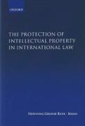 Cover of The Protection of Intellectual Property in International Law