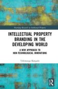 Cover of Intellectual Property Branding in the Developing World: A New Approach to Non-Technological Innovations
