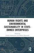 Cover of Human Rights and Environmental Sustainability in State-Owned Enterprises