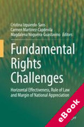 Cover of Fundamental Rights Challenges: Horizontal Effectiveness, Rule of Law and Margin of National Appreciation (eBook)