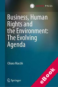Cover of Business, Human Rights and the Environment: The Evolving Agenda (eBook)