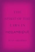 Cover of The Spirit of the Laws in Mozambique