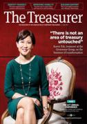 Cover of The Treasurer: Magazine