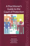Cover of Practitioner's Guide to the Court of Protection