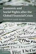 Cover of Economic and Social Rights after the Global Financial Crises