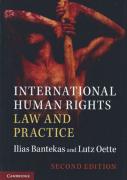 Cover of International Human Rights Law and Practice