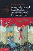 Cover of Strategically-Created Treaty Conflicts and the Politics of International Law