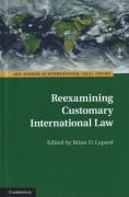 Cover of Reexamining Customary International Law
