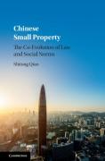 Cover of Chinese Small Property: The Co-Evolution of Law and Social Norms
