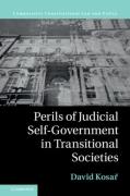 Cover of Perils of Judicial Self-Government in Transitional Societies: The Least Accountable Branch