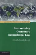 Cover of Reexamining Customary International Law