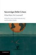Cover of Sovereign Debt Crises: What Have We Learned?