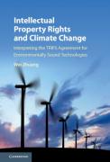 Cover of Intellectual Property Rights and Climate Change: Interpreting the Trips Agreement for Environmentally Sound Technologies