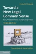 Cover of Toward a New Legal Common Sense: Law, Globalization, and Emancipation