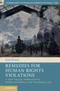 Cover of Remedies for Human Rights Violations: A Two-Track Approach to Supra-national and National Law