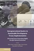 Cover of Intergenerational Justice in Sustainable Development Treaty Implementation: Advancing Future Generations Rights through National Institutions