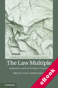 Cover of The Law Multiple: Judgment and Knowledge in Practice (eBook)