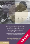 Cover of Intergenerational Justice in Sustainable Development Treaty Implementation: Advancing Future Generations Rights through National Institutions (eBook)