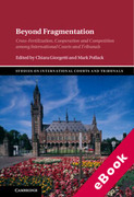 Cover of Beyond Fragmentation: Cross-Fertilization, Cooperation and Competition among International Courts and Tribunals (eBook)