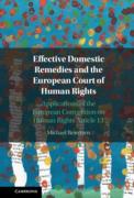 Cover of Effective Domestic Remedies and the European Court of Human Rights: Applications of the European Convention on Human Rights Article 13