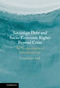 Cover of Sovereign Debt and Socio-Economic Rights Beyond the Crisis: The Neoliberalisation of International Law