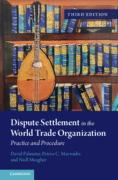 Cover of Dispute Settlement in the World Trade Organization: Practice and Procedure