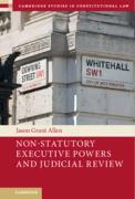 Cover of Non-Statutory Executive Powers and Judicial Review