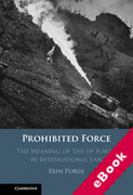 Cover of Prohibited Force: The Meaning of &#8216;Use of Force' in International Law (eBook)