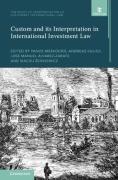 Cover of Custom and its Interpretation in International Investment Law, Volume 2