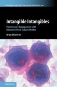 Cover of Intangible Intangibles: Patent Law's Engagement with Dematerialised Subject Matter