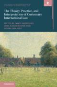 Cover of The Theory, Practice and Interpretation of Customary International Law