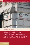Cover of Non-Statutory Executive Powers and Judicial Review