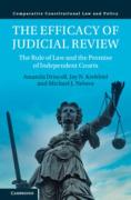 Cover of The Efficacy of Judicial Review: The Rule of Law and the Promise of Independent Courts