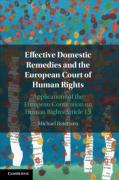 Cover of Effective Domestic Remedies and the European Court of Human Rights: Applications of the European Convention on Human Rights Article 13