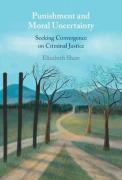 Cover of Punishment and Moral Uncertainty: Seeking Convergence on Criminal Justice