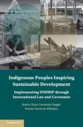 Cover of Indigenous Peoples Inspiring Sustainable Development: Implementing UNDRIP through International Law and Covenants