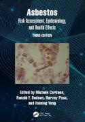 Cover of Asbestos: Risk Assessment, Epidemiology, and Health Effects
